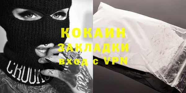 сатива Балахна