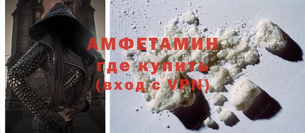 сатива Балахна