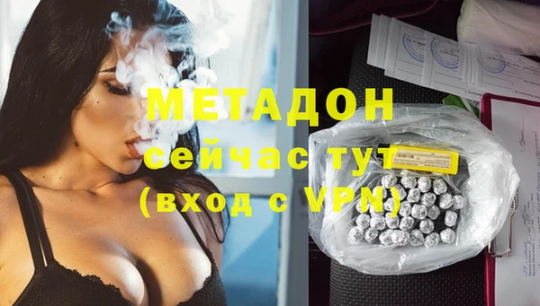 сатива Балахна
