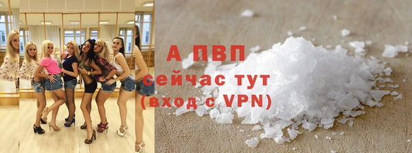 сатива Балахна