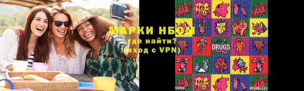 сатива Балахна