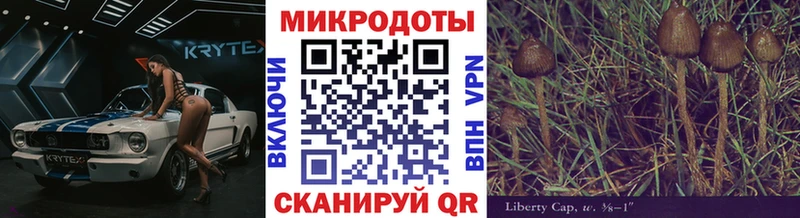 blacksprut ССЫЛКА  Бокситогорск  Галлюциногенные грибы прущие грибы  сколько стоит 
